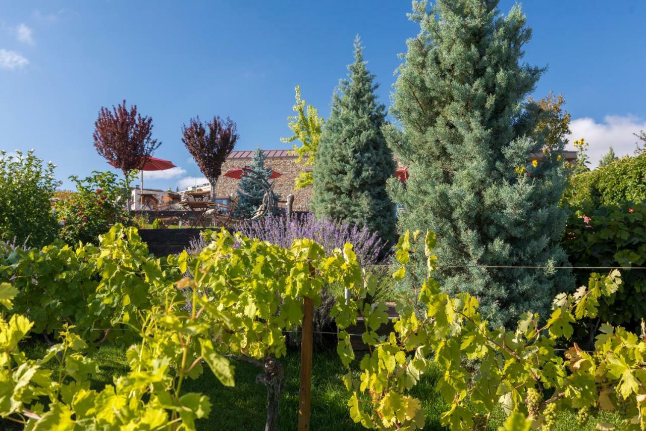 Ariana Sustainable Luxury Lodge - Special Category - Cappadocia Üçhisar Ngoại thất bức ảnh