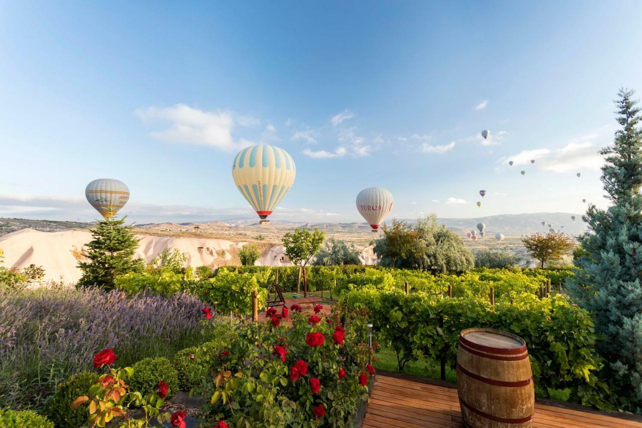 Ariana Sustainable Luxury Lodge - Special Category - Cappadocia Üçhisar Ngoại thất bức ảnh
