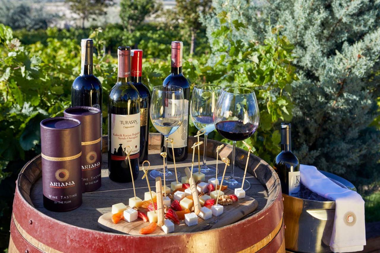Ariana Sustainable Luxury Lodge - Special Category - Cappadocia Üçhisar Ngoại thất bức ảnh