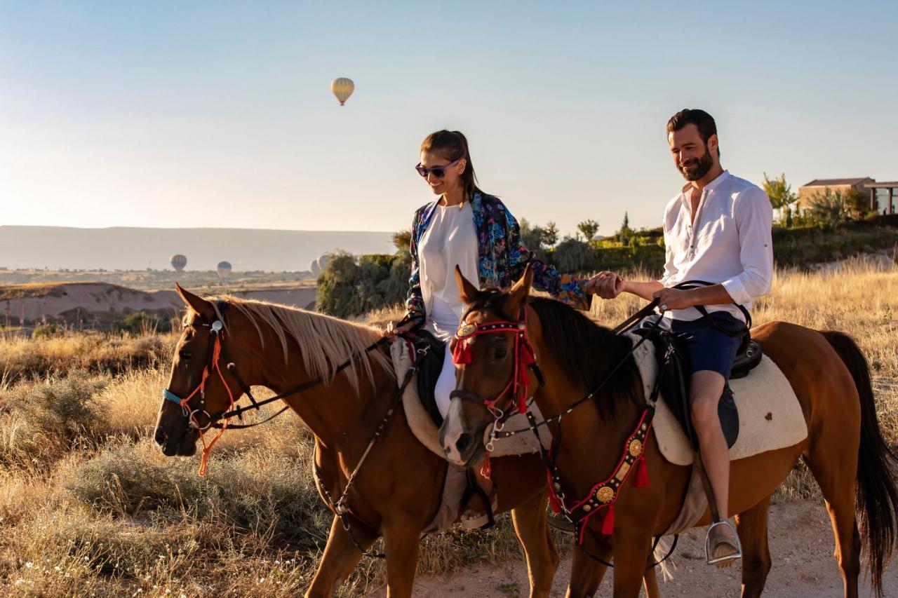 Ariana Sustainable Luxury Lodge - Special Category - Cappadocia Üçhisar Ngoại thất bức ảnh